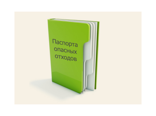Разработка паспортов ОО